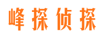 贵南市调查公司